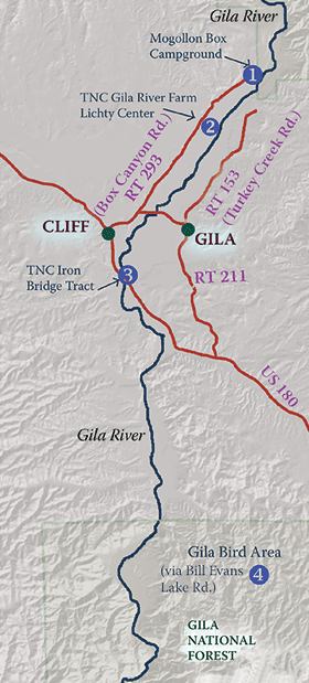 cliff gila insert