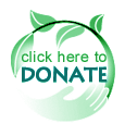 donate button