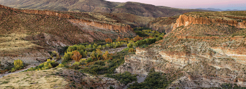 pano