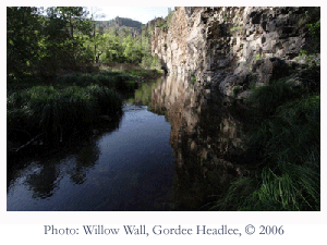 Willow Wall