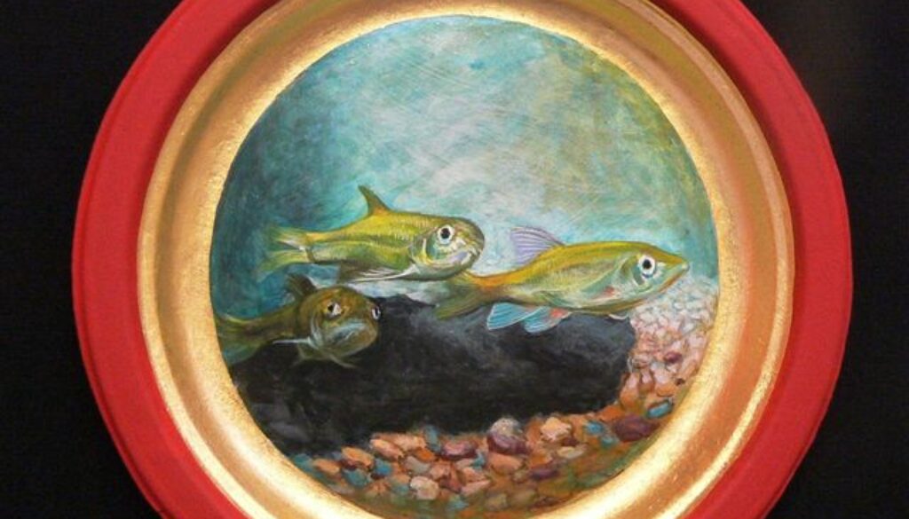 Chihuahua Chub by Mary Frances Dondelinger