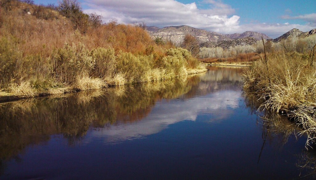 Gila River Above Upper Gila Diversion