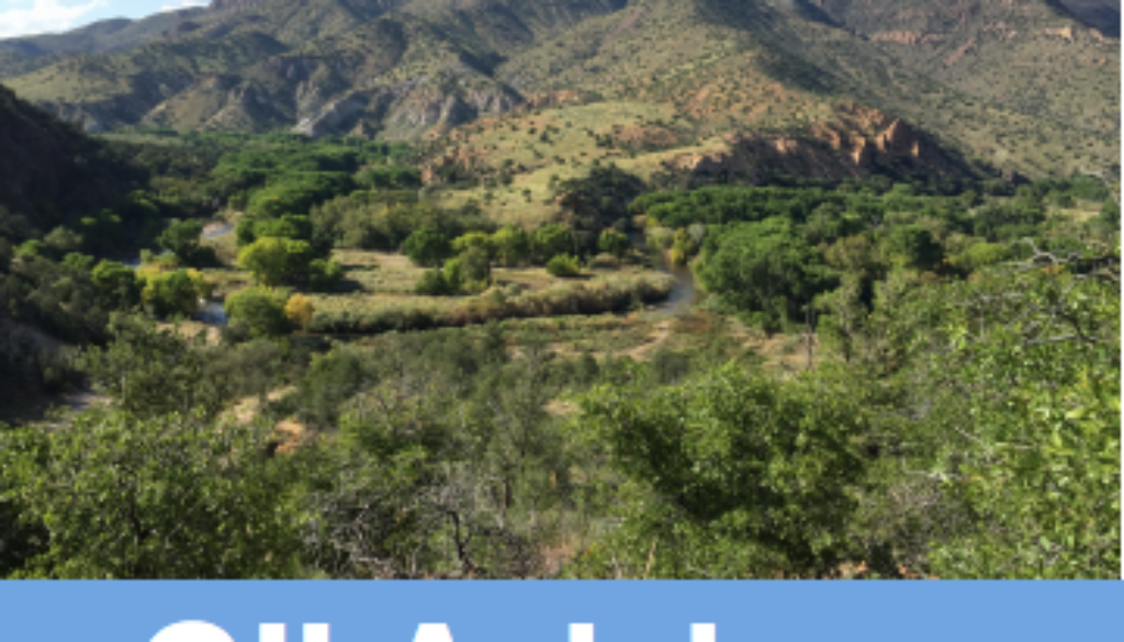 Screen Shot 2016-06-20 at 10.52.44 AM