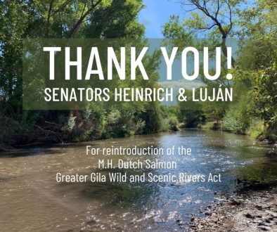 Thank You Senators Heinrich and Luján -(4 x 3 in)
