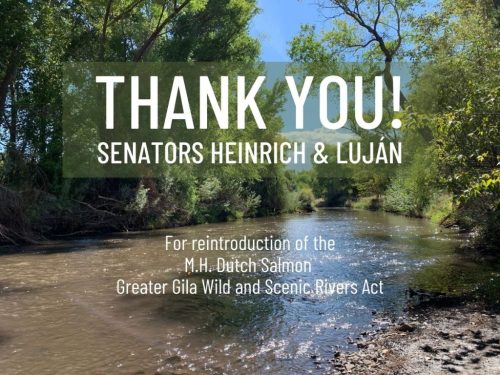 Thank You Senators Heinrich and Luján -(4 x 3 in)